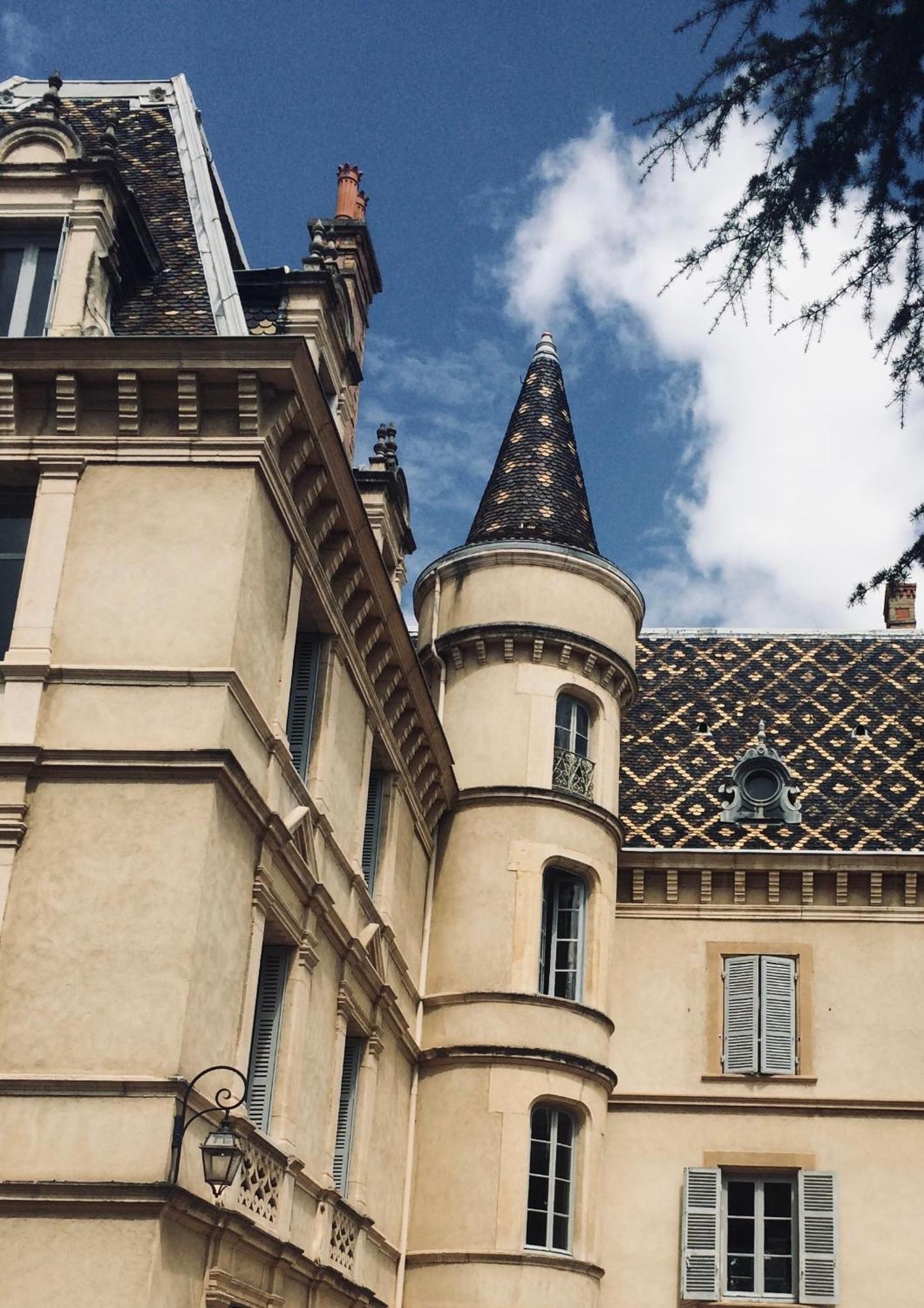 Grand Appartement D'Exception Au Chateau Randin Écully Dış mekan fotoğraf