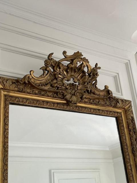 Grand Appartement D'Exception Au Chateau Randin Écully Dış mekan fotoğraf