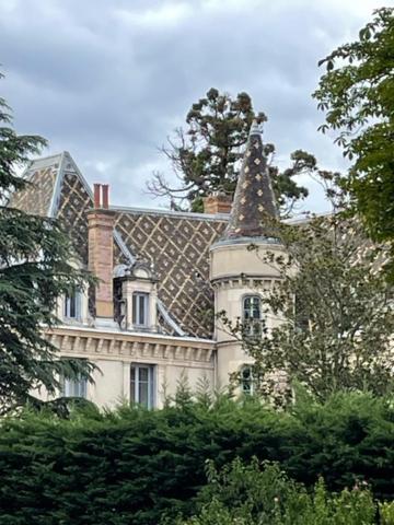 Grand Appartement D'Exception Au Chateau Randin Écully Dış mekan fotoğraf