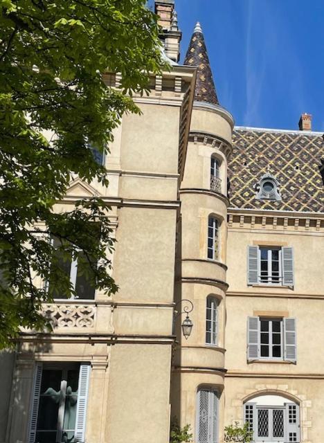 Grand Appartement D'Exception Au Chateau Randin Écully Dış mekan fotoğraf