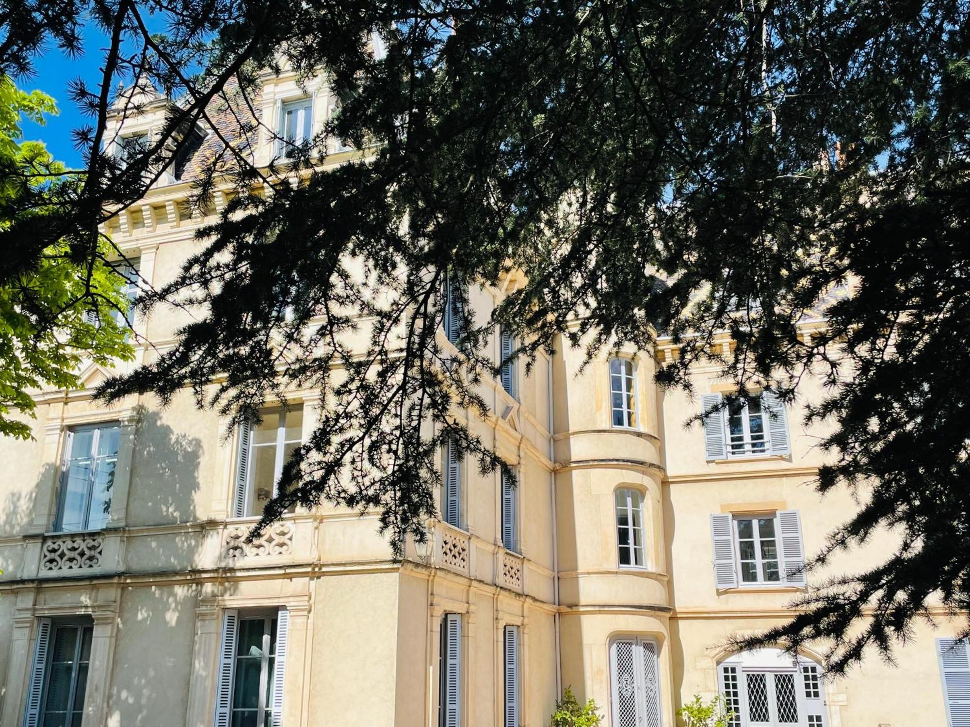 Grand Appartement D'Exception Au Chateau Randin Écully Dış mekan fotoğraf